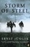 Cover of "Storm of Steel"