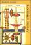 Cover of Automi d'oriente