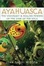 Cover of 'Ayahuasca'