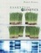 Cover of 'Essential iGenetics'