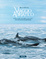 Cover of Viaggio adriatico