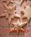 Cover of Country Living Handmade Christmas