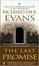 Cover of "The Last Promise"