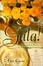 Cover of 'Gala!'