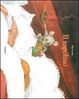 Cover of Il topolino