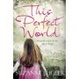 Cover of This Perfect World