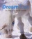 Cover of "Dream Toys"