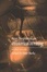 Cover of "New Perspectives on Historical Writing"