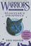 Cover of Warriors Super Edition