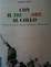 Cover of Con il tricolore al collo