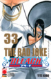 Cover of Bleach Vol. 33