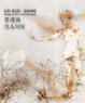 Cover of 蔡國強 泡美術館