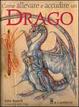 Cover of Come allevare e accudire un drago