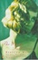 Cover of "Birds Fall Down"