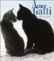Cover of Amor di gatti
