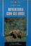 Cover of Avventura con gli orsi
