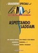 Cover of Aspettando Saddam