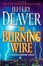 Cover of 'The Burning Wire'