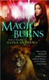 Cover of Magic Burns