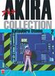 Cover of Akira collection 2