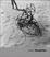 Cover of "Josef Koudelka"