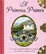 Cover of "A Princess Primer"