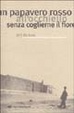 Cover of Un papavero rosso all'occhiello senza coglierne il fiore