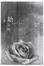 Cover of 永劫回歸