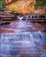 Cover of Experiencing the World's Religions