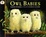 Cover of 'Owl Babies'