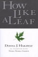Cover of How Like a Leaf