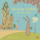 Cover of Brown Rabbit in the City