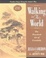 Cover of "Walking in this World"