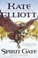 Cover of "Spirit Gate"