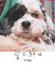 Cover of 愛不終止