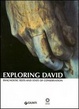 Cover of Exploring David. Diagnostic Tests and State of Conservation.