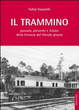 Cover of Il trammino. Passato, presente e futuro della ferrovia del litorale pisano