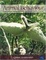 Cover of 'Animal Behavior'