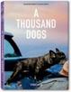 Cover of A Thousand Dogs