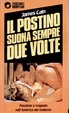 Cover of Il postino suona sempre due volte