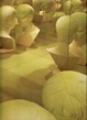 Cover of Antropologia - Volume II
