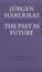 Cover of The Past as Future