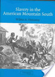Cover of Slavery in the American Mountain South