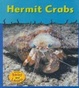 Cover of Hermit Crabs