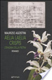 Cover of Aelia Laelia Crispis. L'enigma della pietra