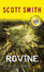 Cover of Rovine