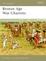 Cover of "Bronze Age War Chariots"
