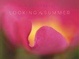 Cover of Looking for the Summer