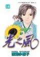 Cover of 光之風14