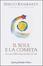 Cover of Il sole e la cometa
